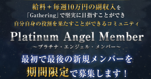 Platinum Angel Member